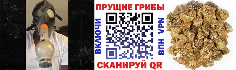 Галлюциногенные грибы Cubensis  Инсар 